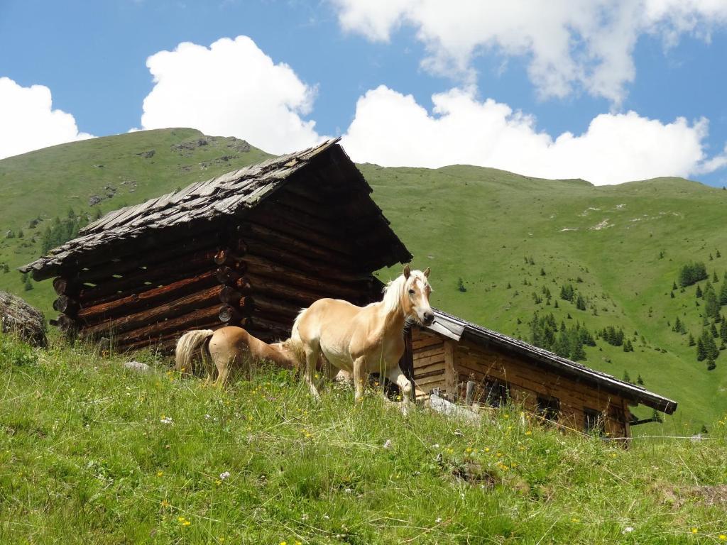 Gästehaus Zwischenberger Obervellach Exterior foto